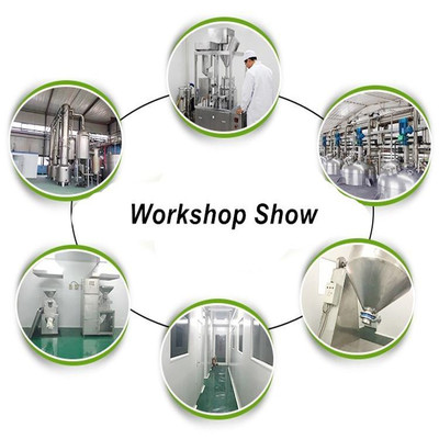 斯諾特植物提取物研發 從紅辣椒速溶粉到濃縮粉的創新之路